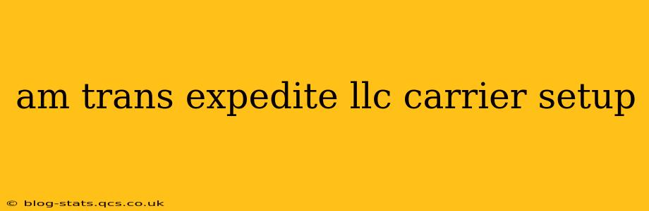 am trans expedite llc carrier setup