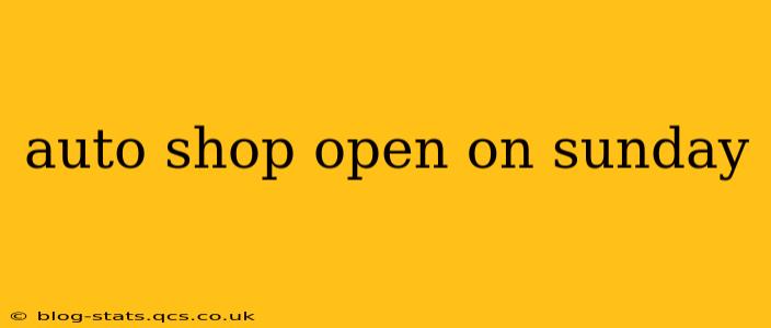 auto shop open on sunday