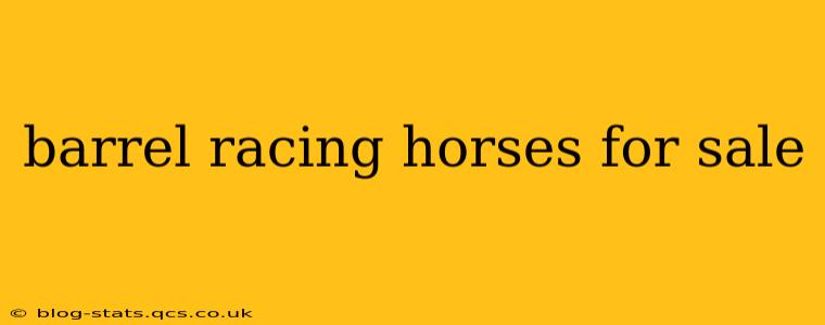 barrel racing horses for sale
