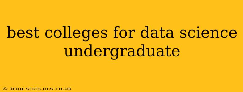 best colleges for data science undergraduate