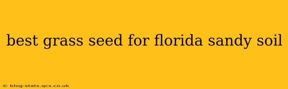 best grass seed for florida sandy soil