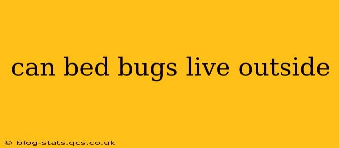 can bed bugs live outside