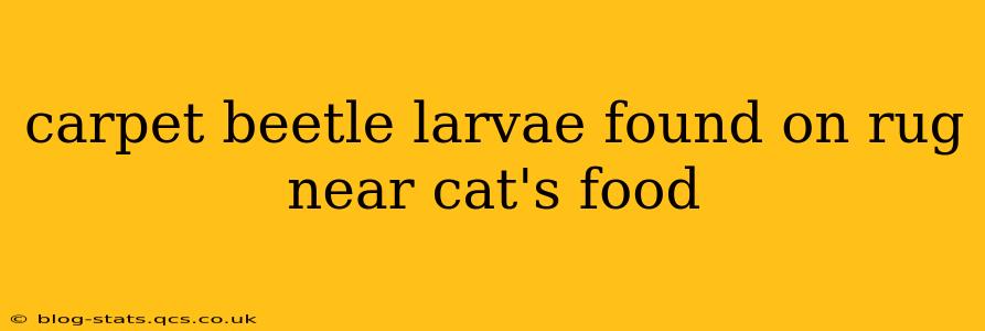 carpet beetle larvae found on rug near cat's food