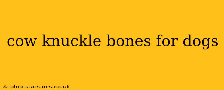 cow knuckle bones for dogs