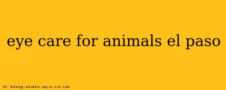eye care for animals el paso