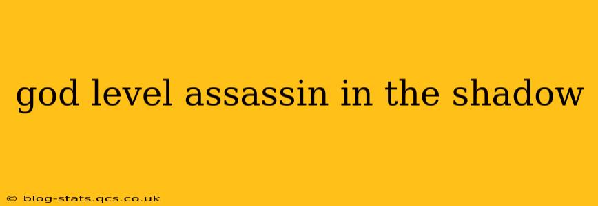 god level assassin in the shadow