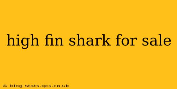 high fin shark for sale