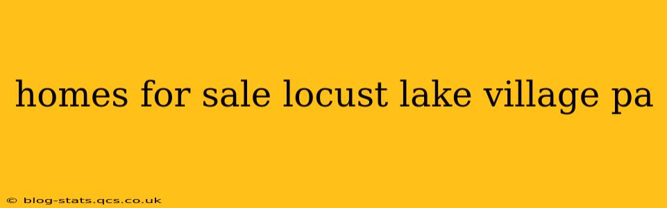 homes for sale locust lake village pa