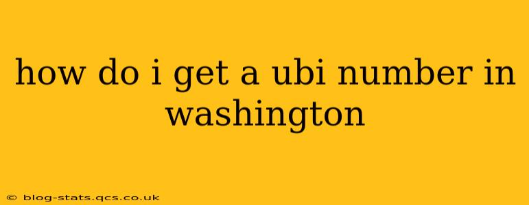 how do i get a ubi number in washington
