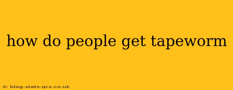 how do people get tapeworm