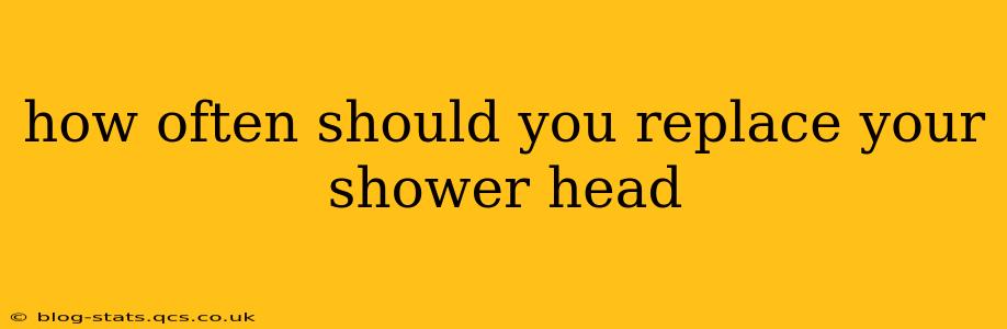 how often should you replace your shower head