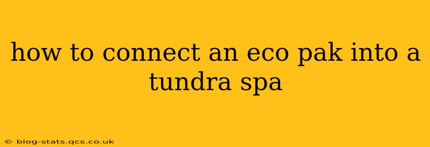 how to connect an eco pak into a tundra spa