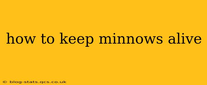 how to keep minnows alive