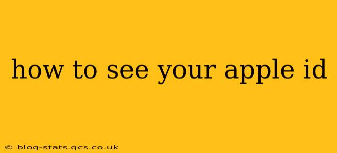 how to see your apple id