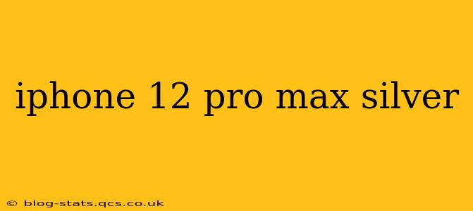iphone 12 pro max silver