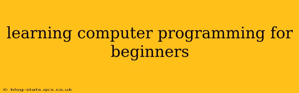 learning computer programming for beginners