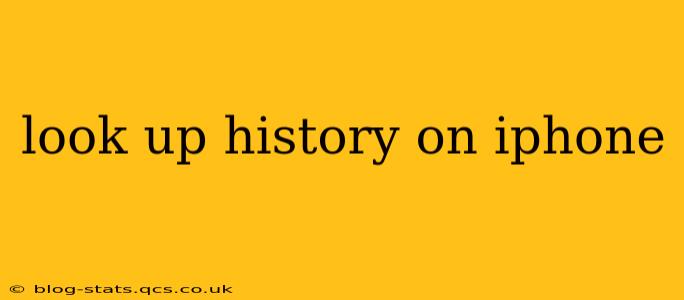 look up history on iphone
