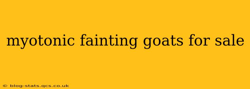 myotonic fainting goats for sale