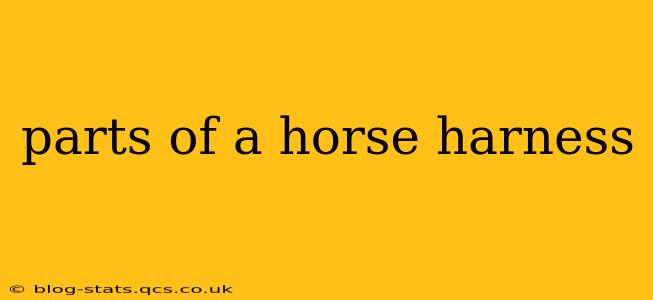 parts of a horse harness