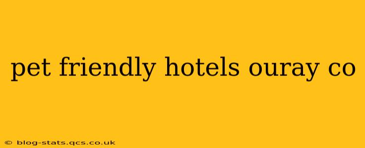 pet friendly hotels ouray co