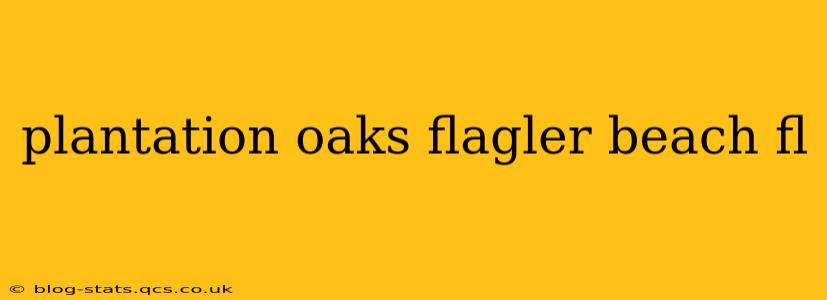 plantation oaks flagler beach fl