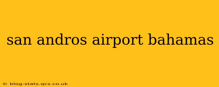 san andros airport bahamas