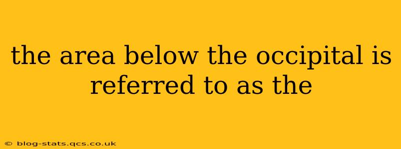 the area below the occipital is referred to as the