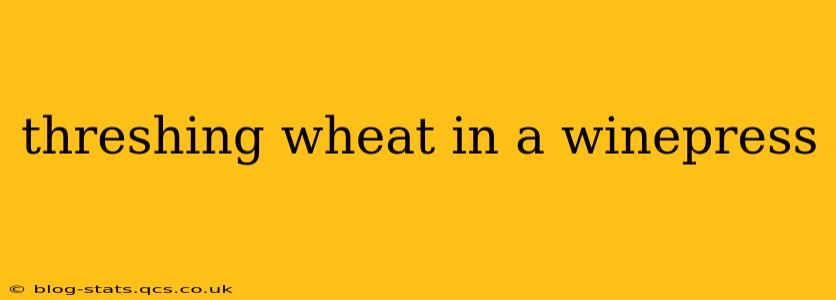 threshing wheat in a winepress
