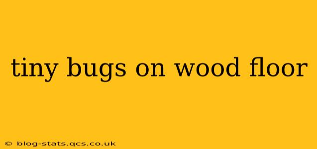 tiny bugs on wood floor
