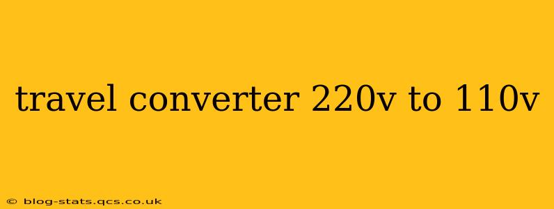 travel converter 220v to 110v