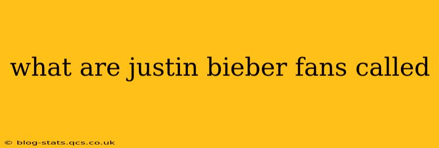 what are justin bieber fans called
