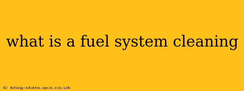 what is a fuel system cleaning
