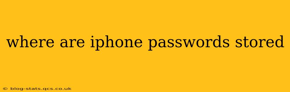 where are iphone passwords stored