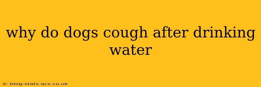 why do dogs cough after drinking water