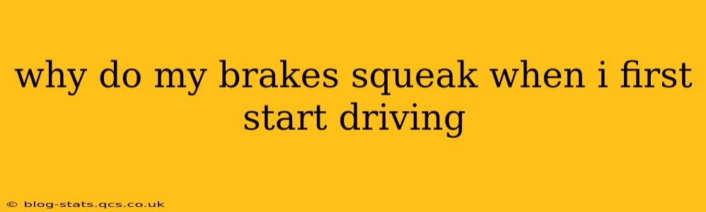 why do my brakes squeak when i first start driving