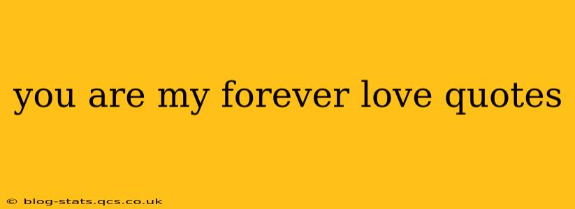 you are my forever love quotes