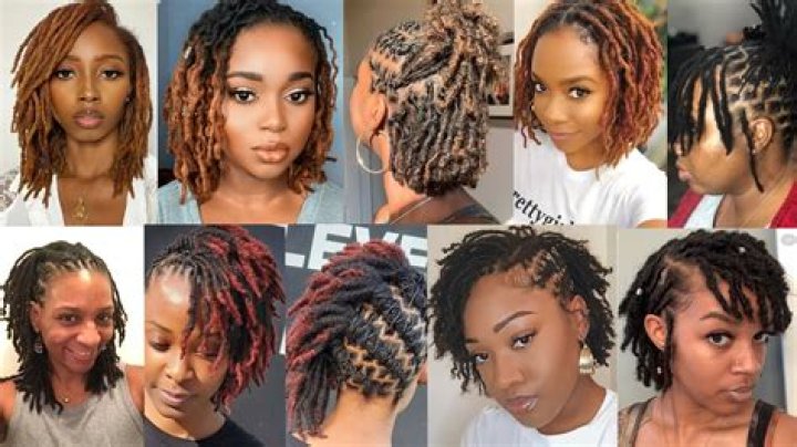 Unveiling The Enigmatic World Of Male Short Dreadlocks